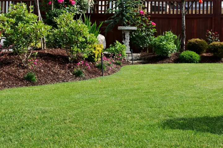 Thoughtfully maintained residential landscaping